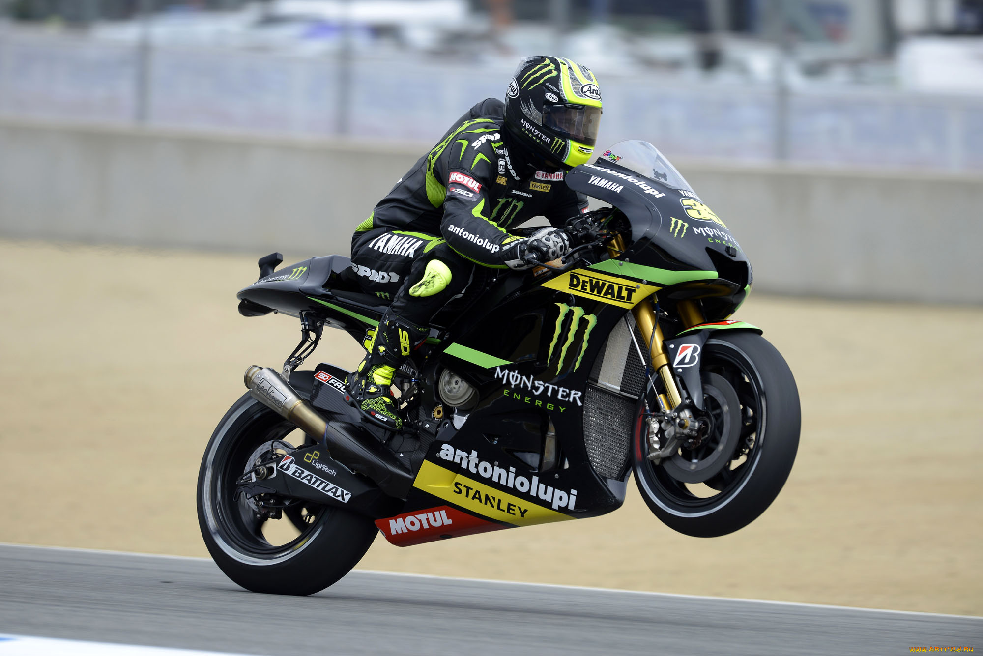 , , 2013, motogp